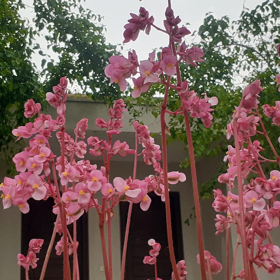 Cuc Phuong Bungalow Nho Quan Екстериор снимка