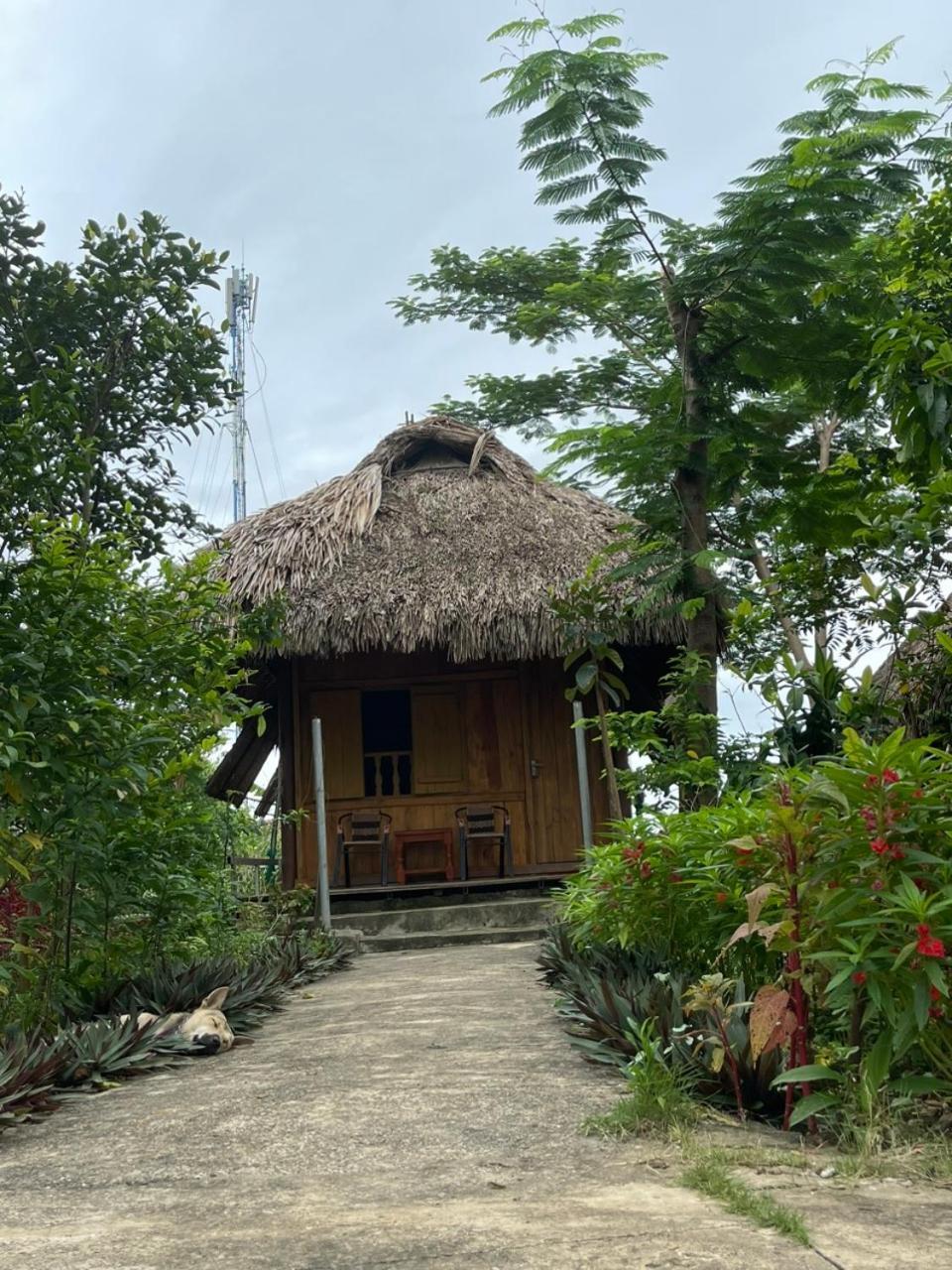 Cuc Phuong Bungalow Nho Quan Екстериор снимка